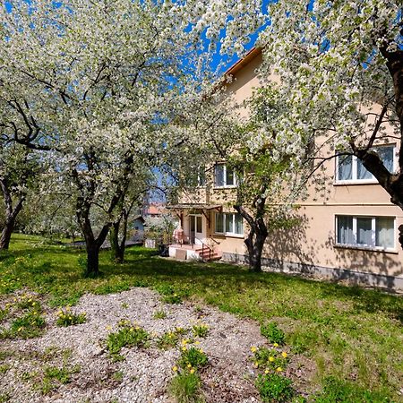 Casa Cu Cires Brasov Apartman Kültér fotó