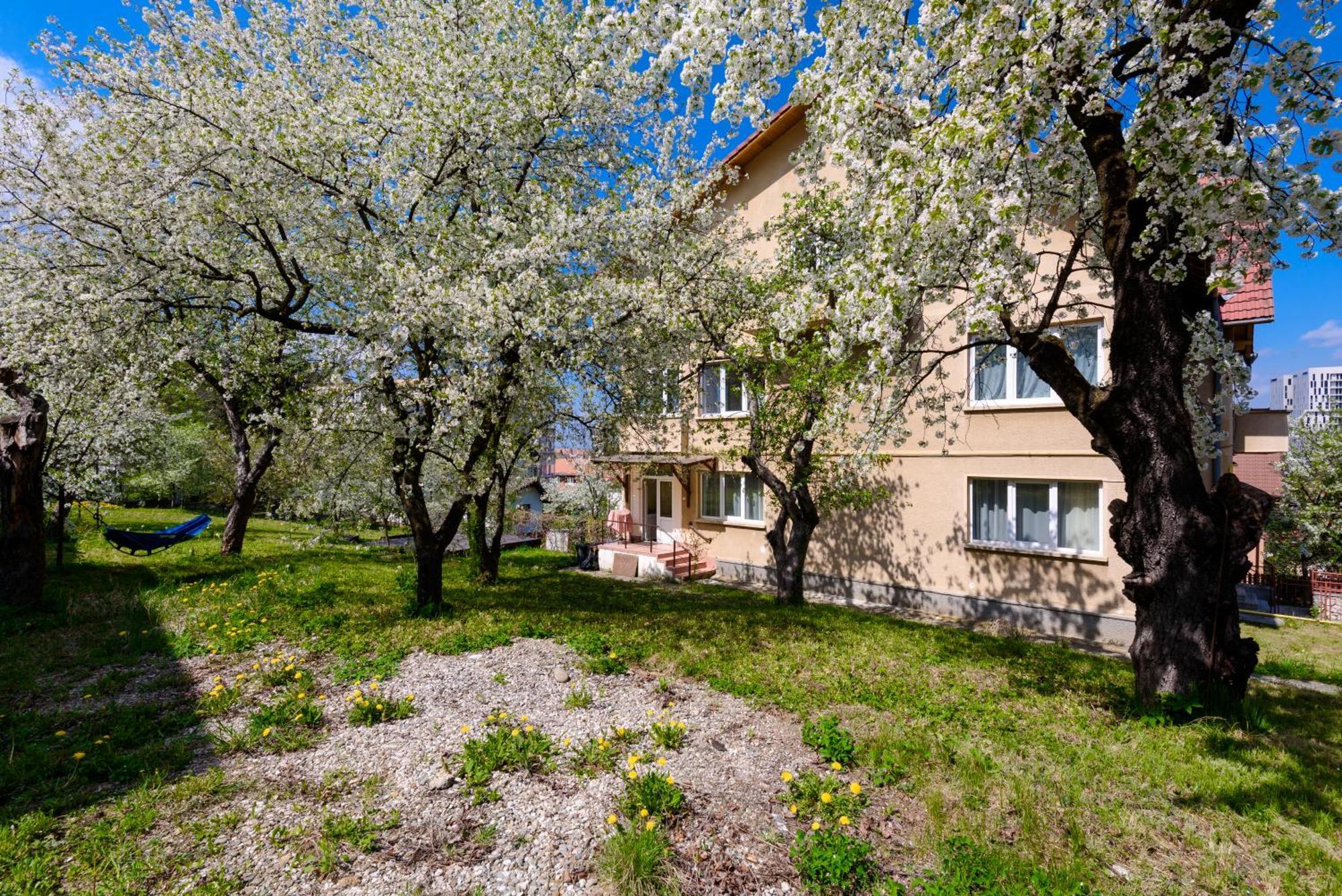 Casa Cu Cires Brasov Apartman Kültér fotó