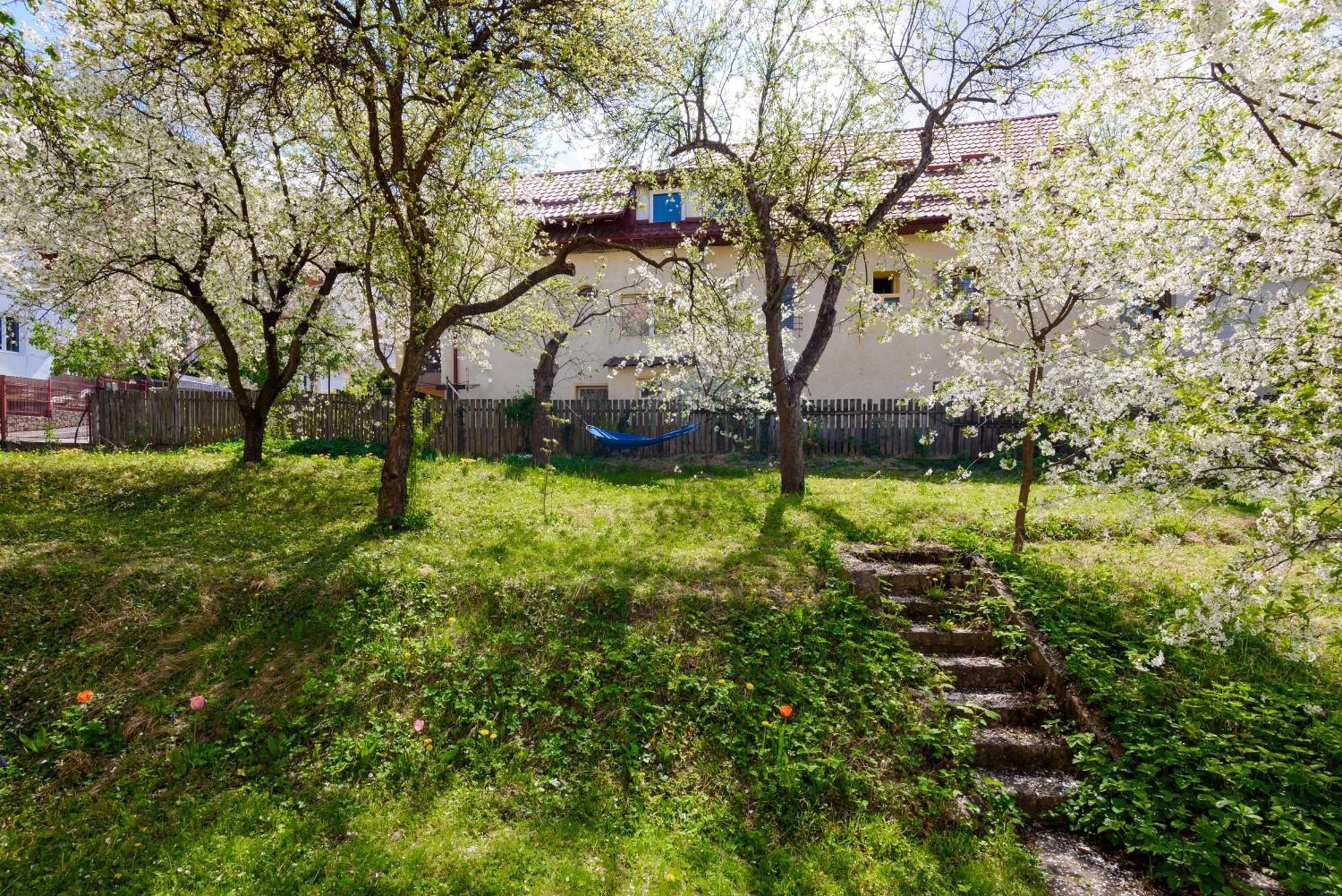 Casa Cu Cires Brasov Apartman Kültér fotó
