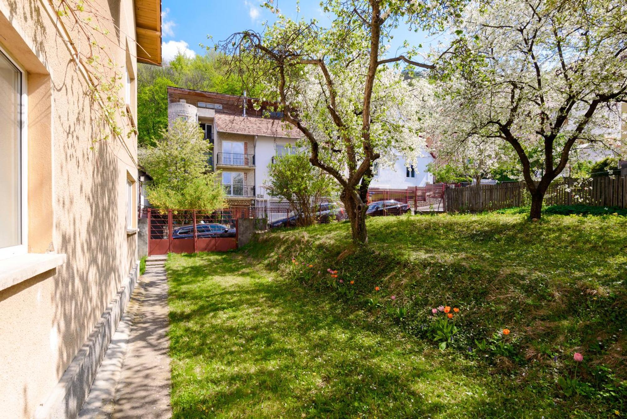 Casa Cu Cires Brasov Apartman Kültér fotó